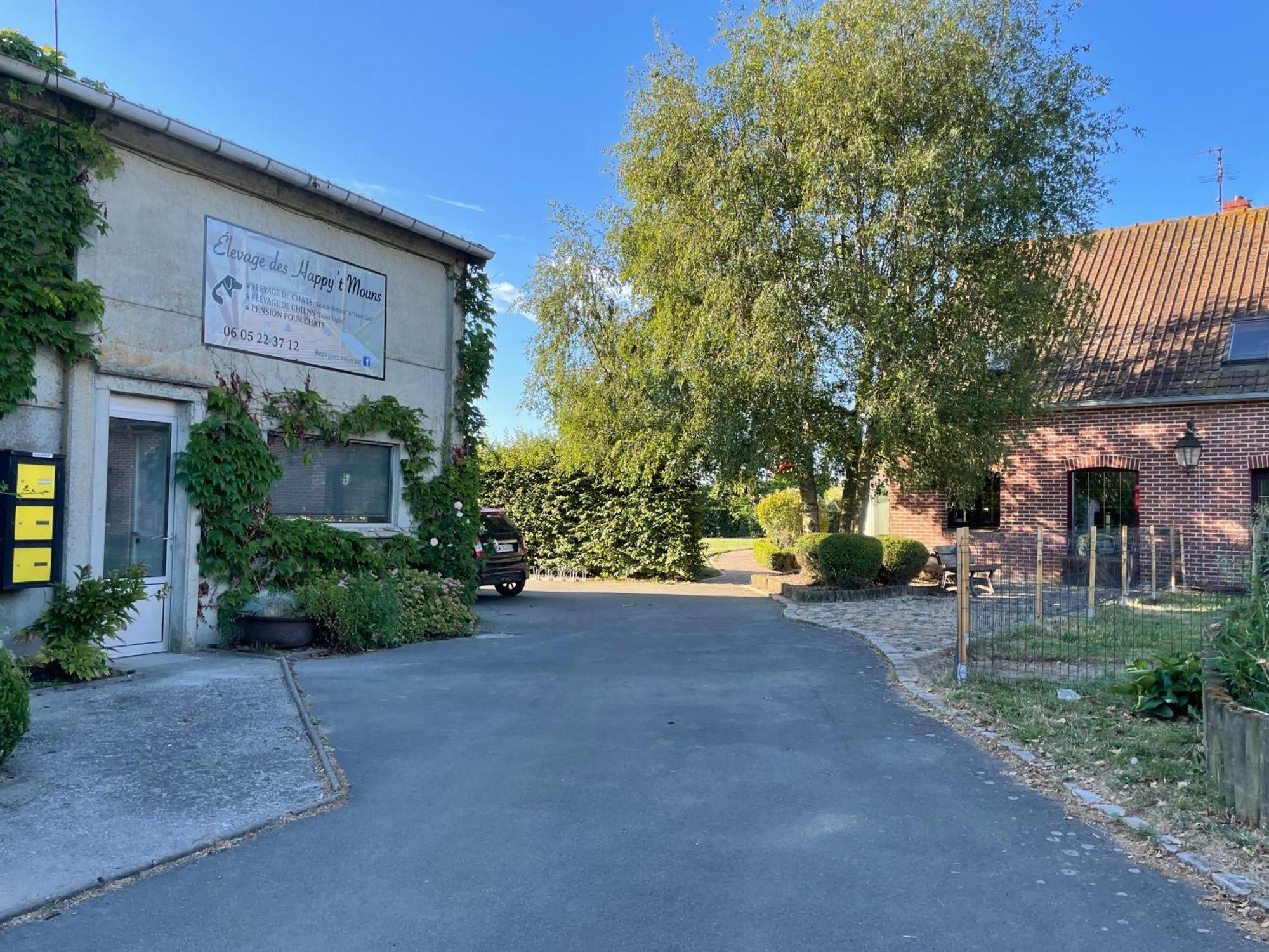 Le Relais de la Dentelle Bed and Breakfast Merris Buitenkant foto