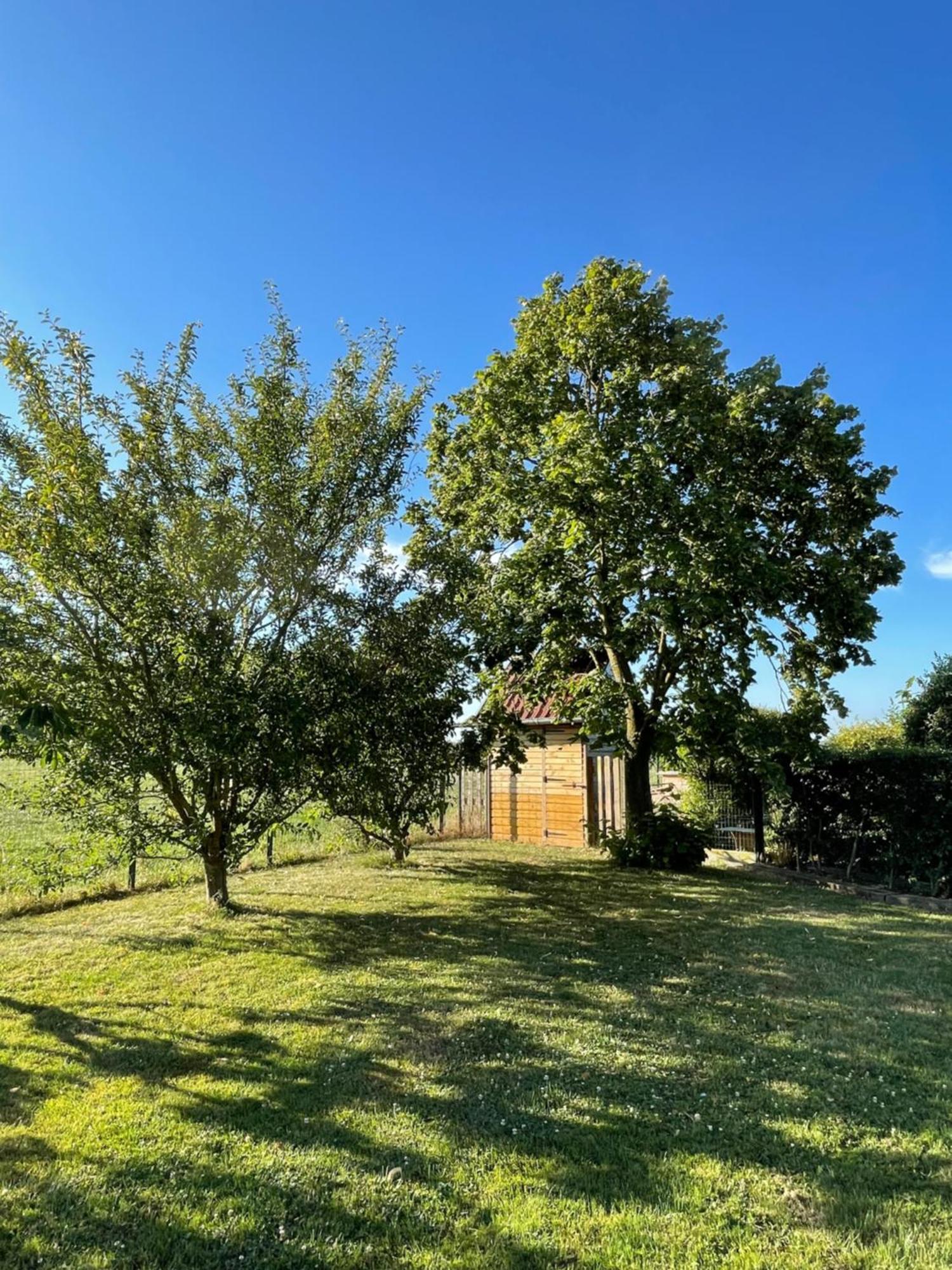 Le Relais de la Dentelle Bed and Breakfast Merris Buitenkant foto