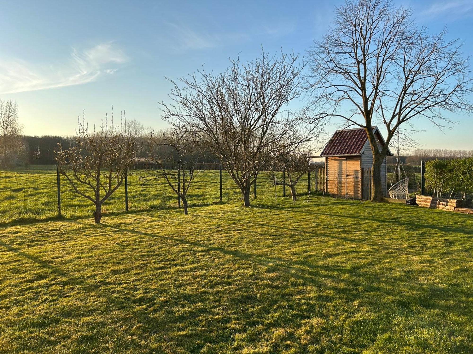 Le Relais de la Dentelle Bed and Breakfast Merris Buitenkant foto